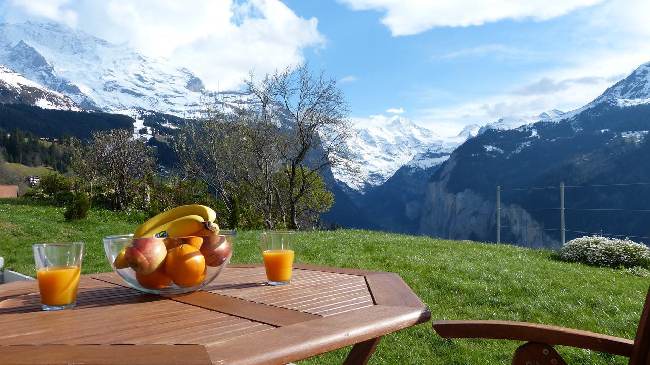 Chalet Canadian Corner Wengen Dış mekan fotoğraf